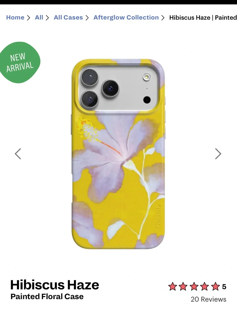 Hibiscus Haze | Painted Floral Case